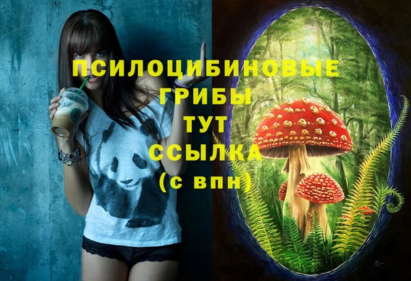 COCAINE Белокуриха