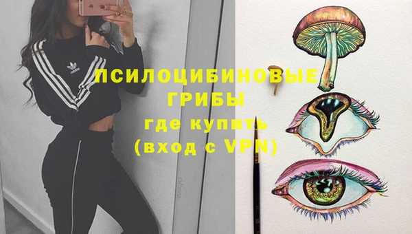ешки Беломорск